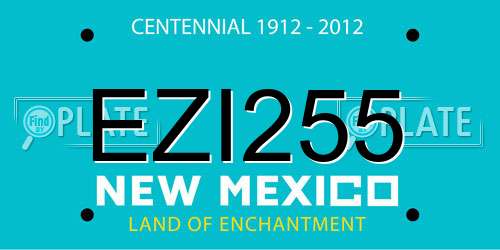 EZI255 New Mexico License Plate