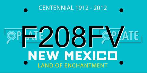 F208FV New Mexico License Plate