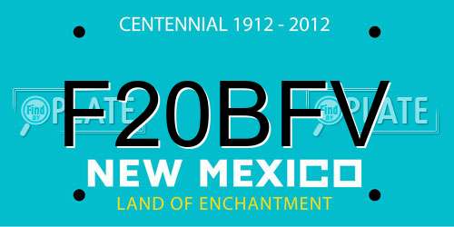 F20BFV New Mexico License Plate