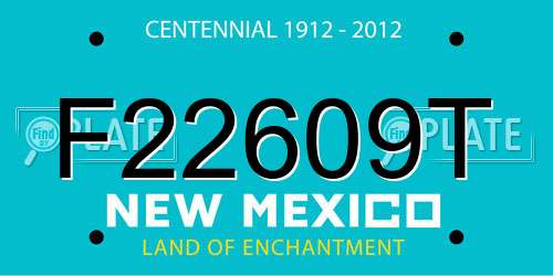 F22609T New Mexico License Plate