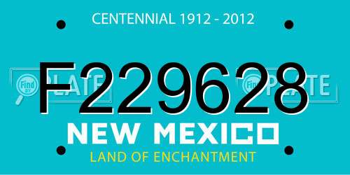 F229628 New Mexico License Plate