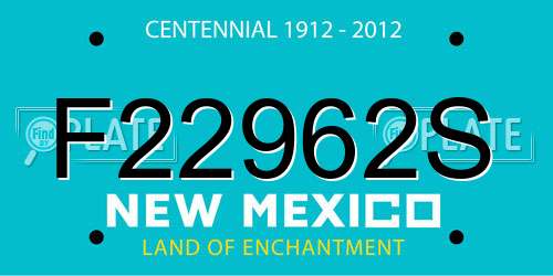F22962S New Mexico License Plate