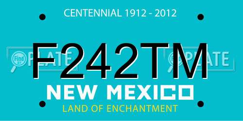 F242TM New Mexico License Plate