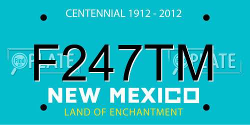 F247TM New Mexico License Plate