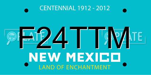 F24TTM New Mexico License Plate