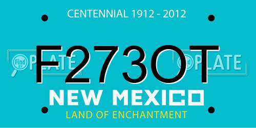 F273OT New Mexico License Plate