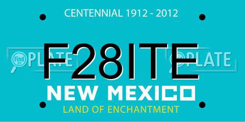 F28ITE New Mexico License Plate