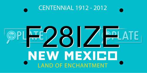 F28IZE New Mexico License Plate