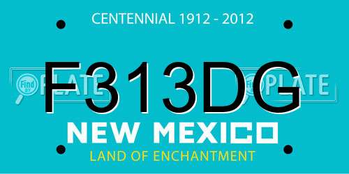 F313DG New Mexico License Plate
