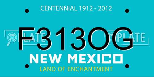 F313OG New Mexico License Plate