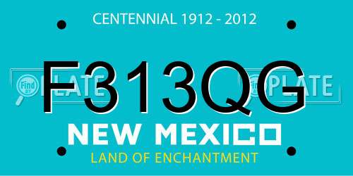 F313QG New Mexico License Plate