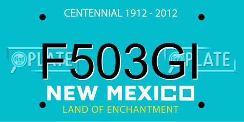 F503GI New Mexico License Plate