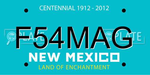 F54MAG New Mexico License Plate