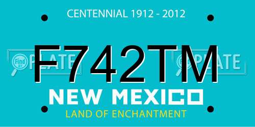 F742TM New Mexico License Plate