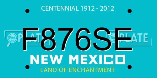 F876SE New Mexico License Plate