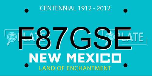 F87GSE New Mexico License Plate