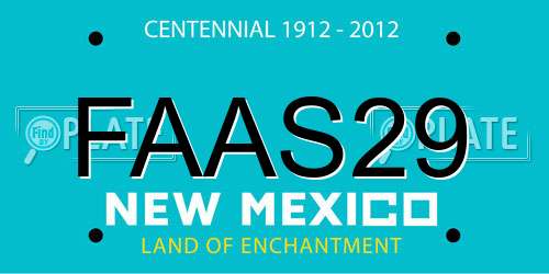 FAAS29 New Mexico License Plate