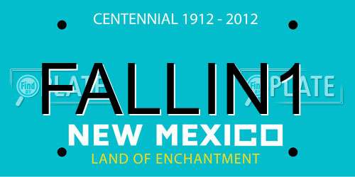 FALLIN1 New Mexico License Plate