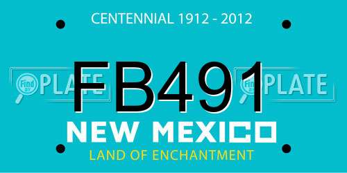 FB491 New Mexico License Plate