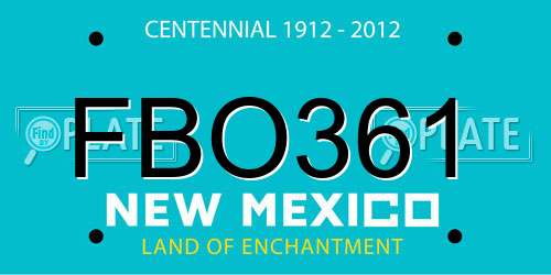 FBO361 New Mexico License Plate