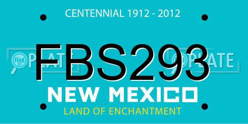 FBS293 New Mexico License Plate