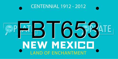 FBT653 New Mexico License Plate