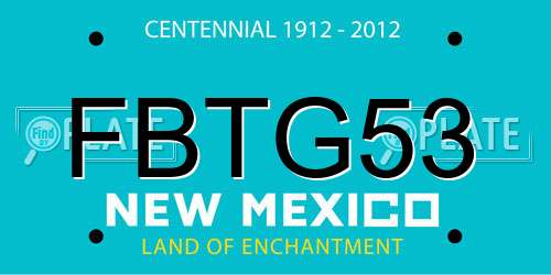 FBTG53 New Mexico License Plate