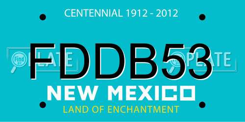 FDDB53 New Mexico License Plate