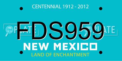 FDS959 New Mexico License Plate