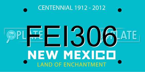 FEI306 New Mexico License Plate