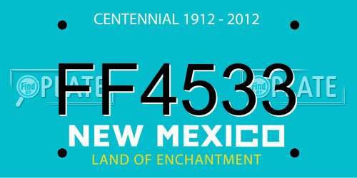 FF4533 New Mexico License Plate