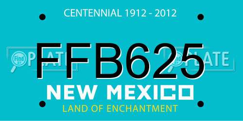 FFB625 New Mexico License Plate