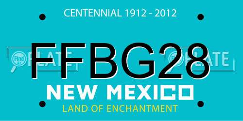 FFBG28 New Mexico License Plate
