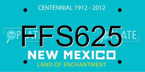 FFS625 New Mexico License Plate