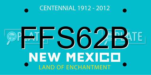 FFS62B New Mexico License Plate
