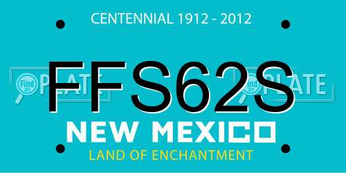 FFS62S New Mexico License Plate