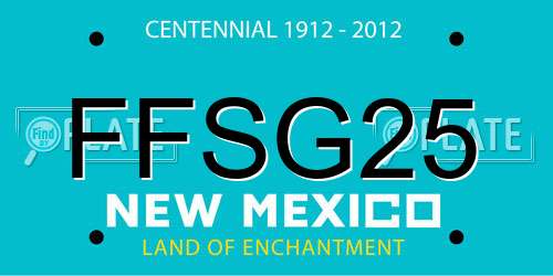 FFSG25 New Mexico License Plate