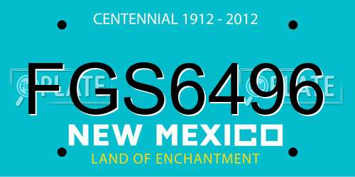 FGS6496 New Mexico License Plate