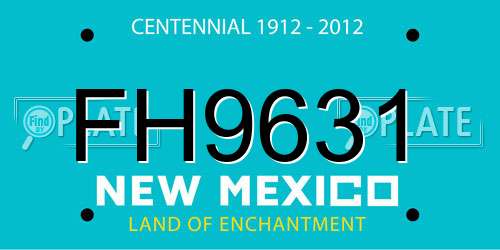 FH9631 New Mexico License Plate
