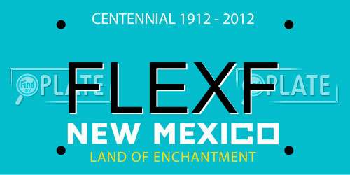 FLEXF New Mexico License Plate