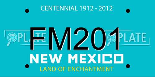 FM201 New Mexico License Plate