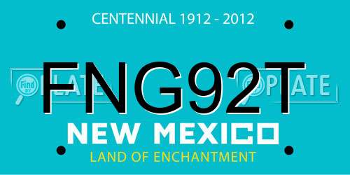 FNG92T New Mexico License Plate