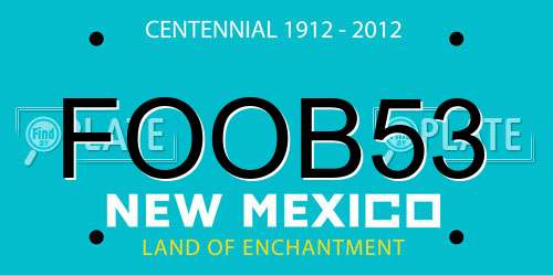 FOOB53 New Mexico License Plate