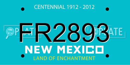 FR2893 New Mexico License Plate