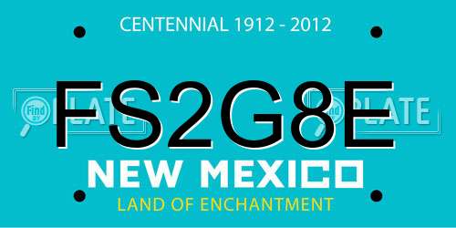 FS2G8E New Mexico License Plate