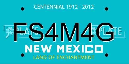 FS4M4G New Mexico License Plate