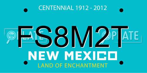 FS8M2T New Mexico License Plate