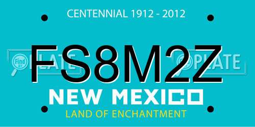 FS8M2Z New Mexico License Plate