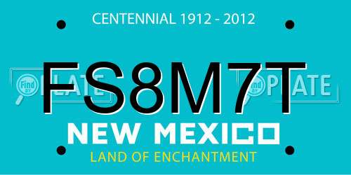 FS8M7T New Mexico License Plate