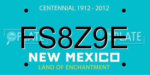 FS8Z9E New Mexico License Plate